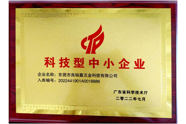 科技型中小企业